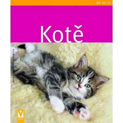 Kotě - jak na to - Brigite Eilert-Overbeck