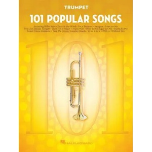 101 Popular Songs (ISBN: 9781495090271)