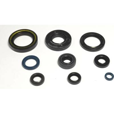Sada gufer motoru ATHENA P400485400036