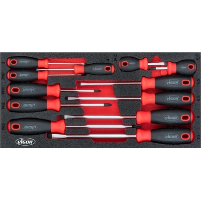 VIGOR V4989