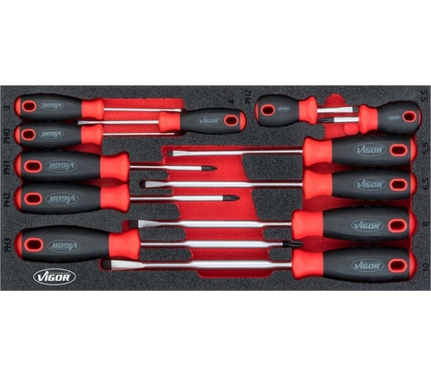 VIGOR V4989