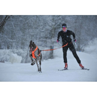 Non-stop dogwear Loype belt pro L