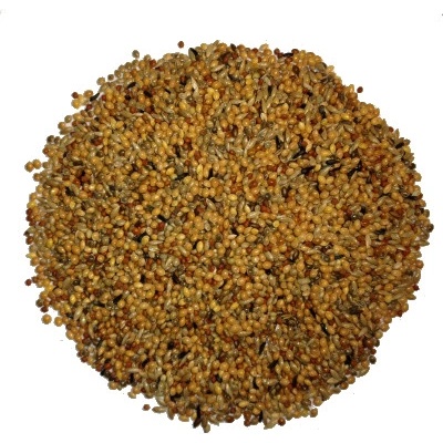 Avest Směs Zebřička 06 Astrild 10 kg
