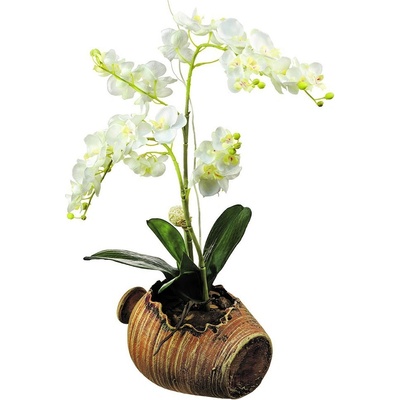 AG Design SM3430 Samolepicí dekorace Orchidej, rozměry 42,5 x 65 cm