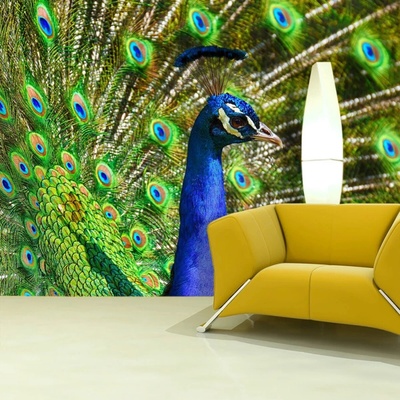 Sablio Tapeta Páv, rozmery 336x220 cm