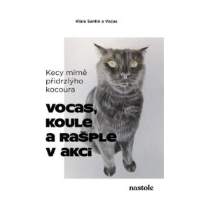 Kecy mírně přidrzlýho kocoura | Klára Santin (2025)
