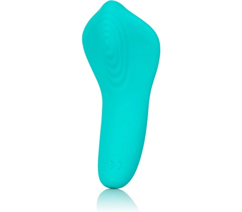 Calexotics SLAY PLEASER