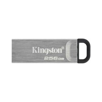 Kingston USB стик Kingston Черен 256 GB