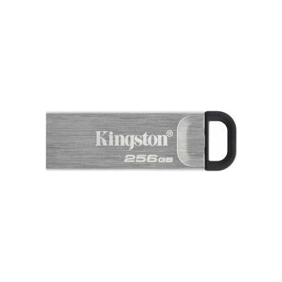 Kingston USB стик Kingston Черен 256 GB