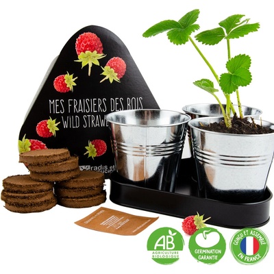 Radis et Capucine Трио саксии от цинк - Диви ягоди (036969)