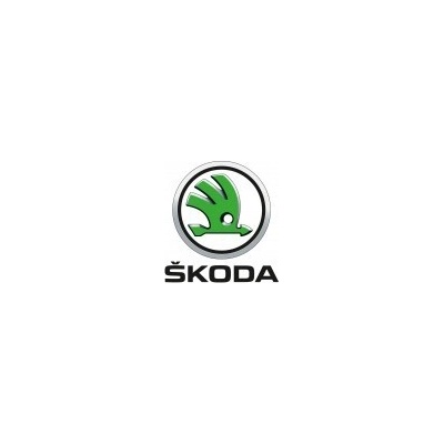 Škoda nemetalická farba nariedená, pripravená na striekanie 1000 ml