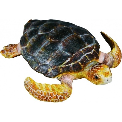 Collecta Korytnačka