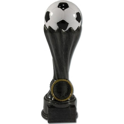 Ft265 Trofej fotbal barevná