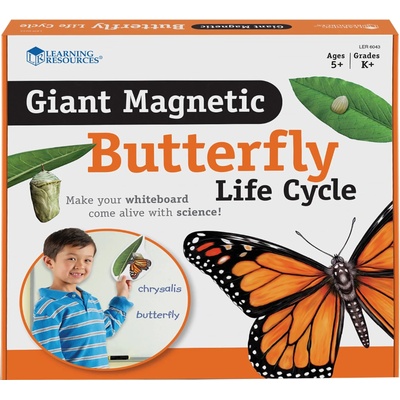 Learning Resources Магнитен комплект Learning Resources - Жизнен цикъл на пеперуда (LER6043)