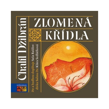 Zlomená křídla
