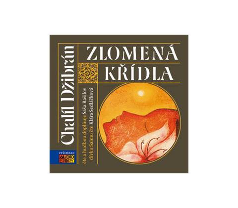 Zlomená křídla