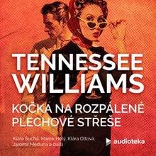 Kočka na rozpálené plechové střeše