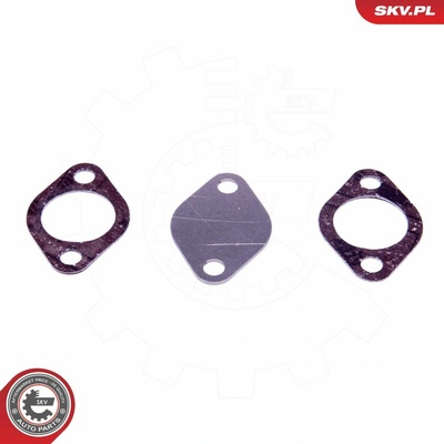 Súprava na opravu, ventil AGR ESEN SKV 14SKV550 14SKV550