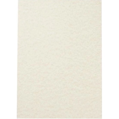 AGIPA Štrukturovaný papier Pergamen šampanské 95g 100 hárkov