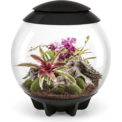 BiOrb Air Terrarium černé 30 l