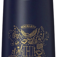 b.box Termoska na pitie so slamkou 500 ml Harry Potter