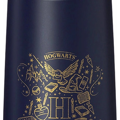 b.box Termoska na pitie so slamkou 500 ml Harry Potter