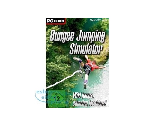 Bungee Jumping simulator