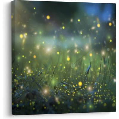 Obraz - Kouzelná noc, jednodílný 30x30 cm – Hledejceny.cz
