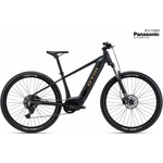 CTM PULZE GX 2026