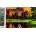 Norimpex - Puzzle Diamond Painting Západ slnka pri jazere 30x40cm - 1 - 39 piese