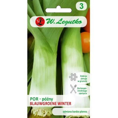W. Legutko Por Blauwgroene Winter - късно