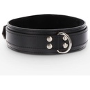 Taboom Heavy D-Ring Collar
