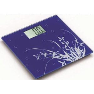Elite BS 0256