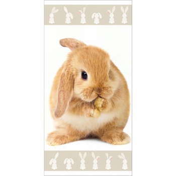 Jerry Fabrics Froté osuška s králikom 01 70x140 cm