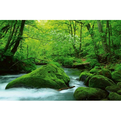 DIMEX ART Флизелинов фототапет японски поток 375 x 250 см