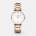 Cluse CW0101203027