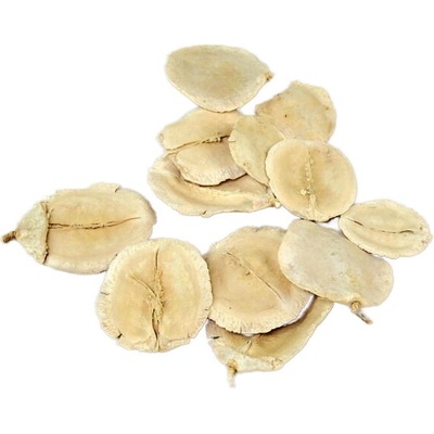 Jacaranda bílá, cena za 250g
