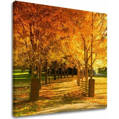 Obraz na stenu STROMY - 30x30 cm