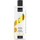 Vis Plantis Šampon regenerace a hydratace 400 ml