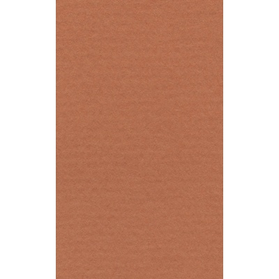 Hahneműhle Papír Hahnemühle Lana Colours A4160 g/m2okrový