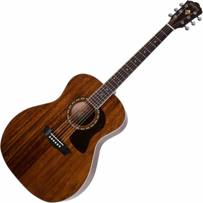 Washburn Heritage G12S