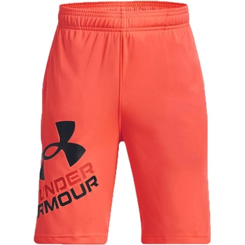 Under Armour UA Prototype 2.0 Logo shorts 1361817 296