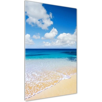 Vertikálny foto obraz sklenený Tropická pláž 50x100 cm
