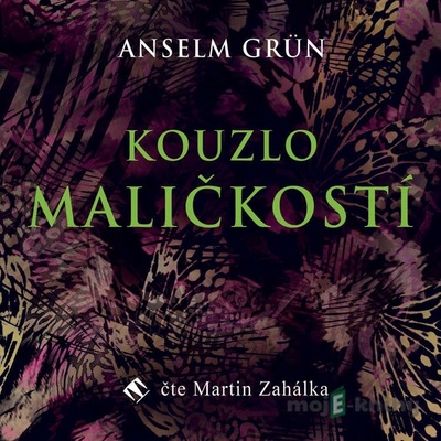Kouzlo maličkostí - Anselm Grün