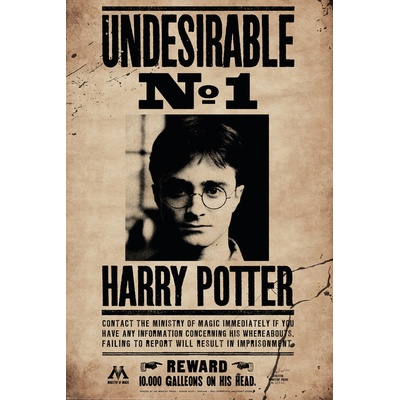 Plagát, Obraz - Harry Potter - Undersirable No.1, 61 × 91.5 cm