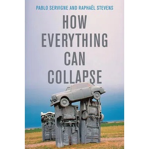 How Everything Can Collapse - A Manual for our Times | Raphaël Stevens, Andrew Brown (ISBN: 9781509541393)