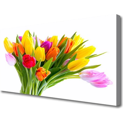 Obraz Canvas Tulipány kvety rastlina 100x50 cm