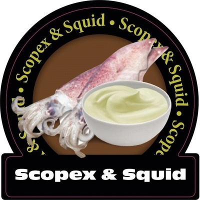 Karel Nikl boilies Ready Scopex & Squid 1kg 24mm