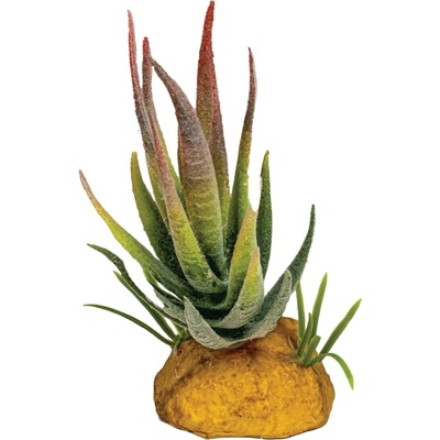 Umelá rastlina Repto Plant Aloe Red