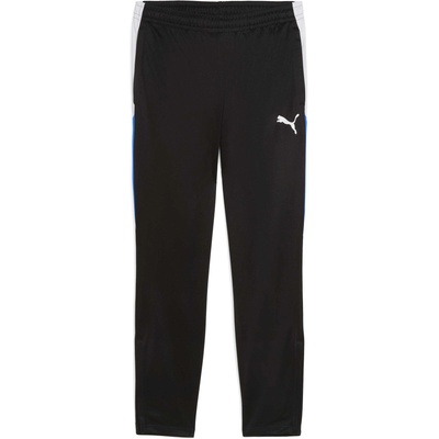 PUMA Individualliga training pants m